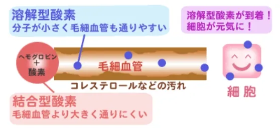 酸素カプセルのメカニズム